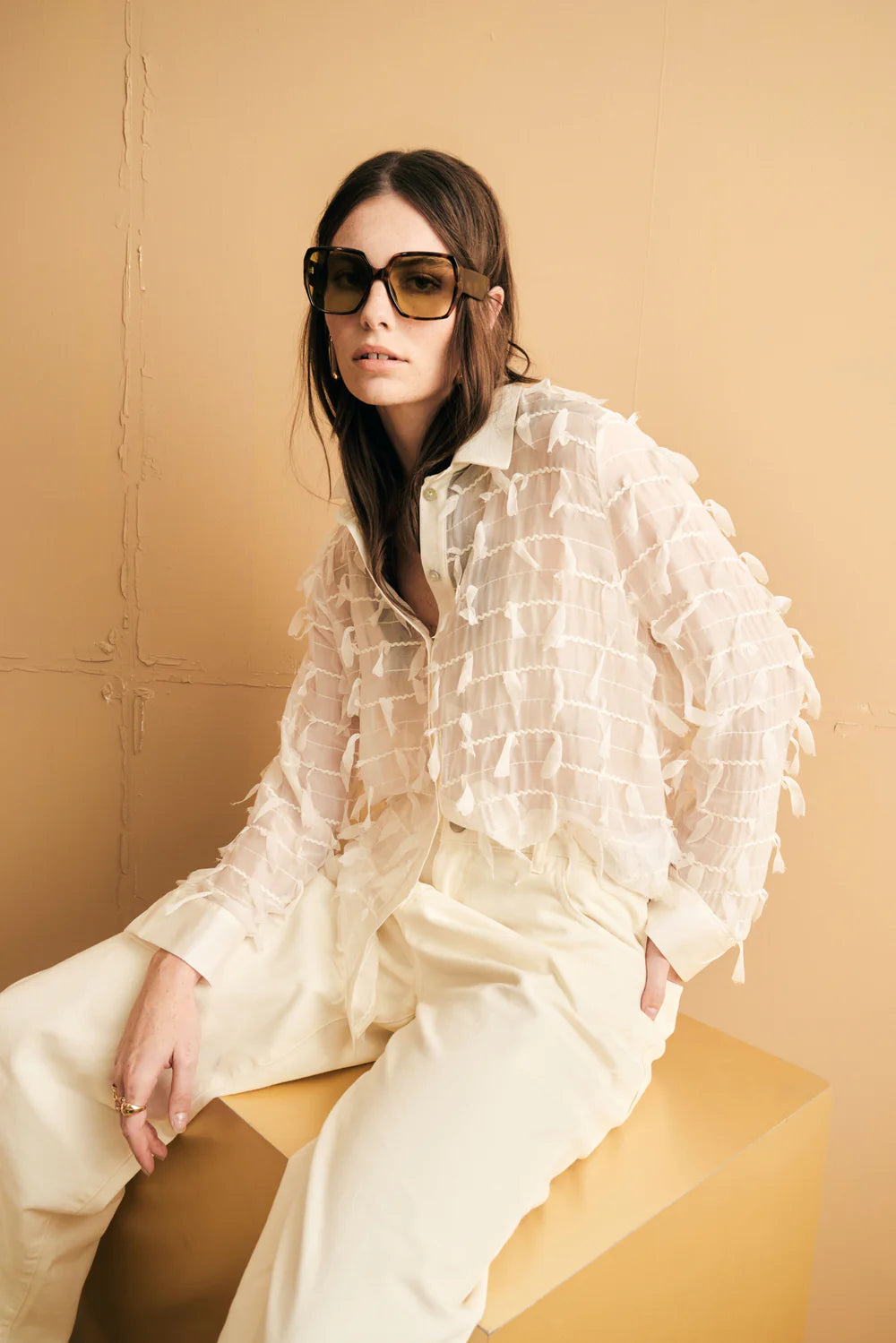 Sandro Ferrone: Embroidered Sheer Cotton Button-Down Blouse